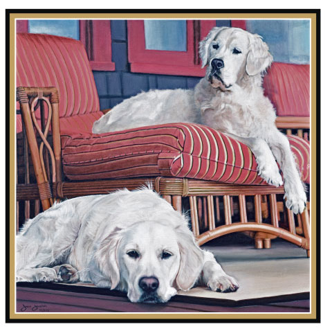 Fine Art Pet Portraits